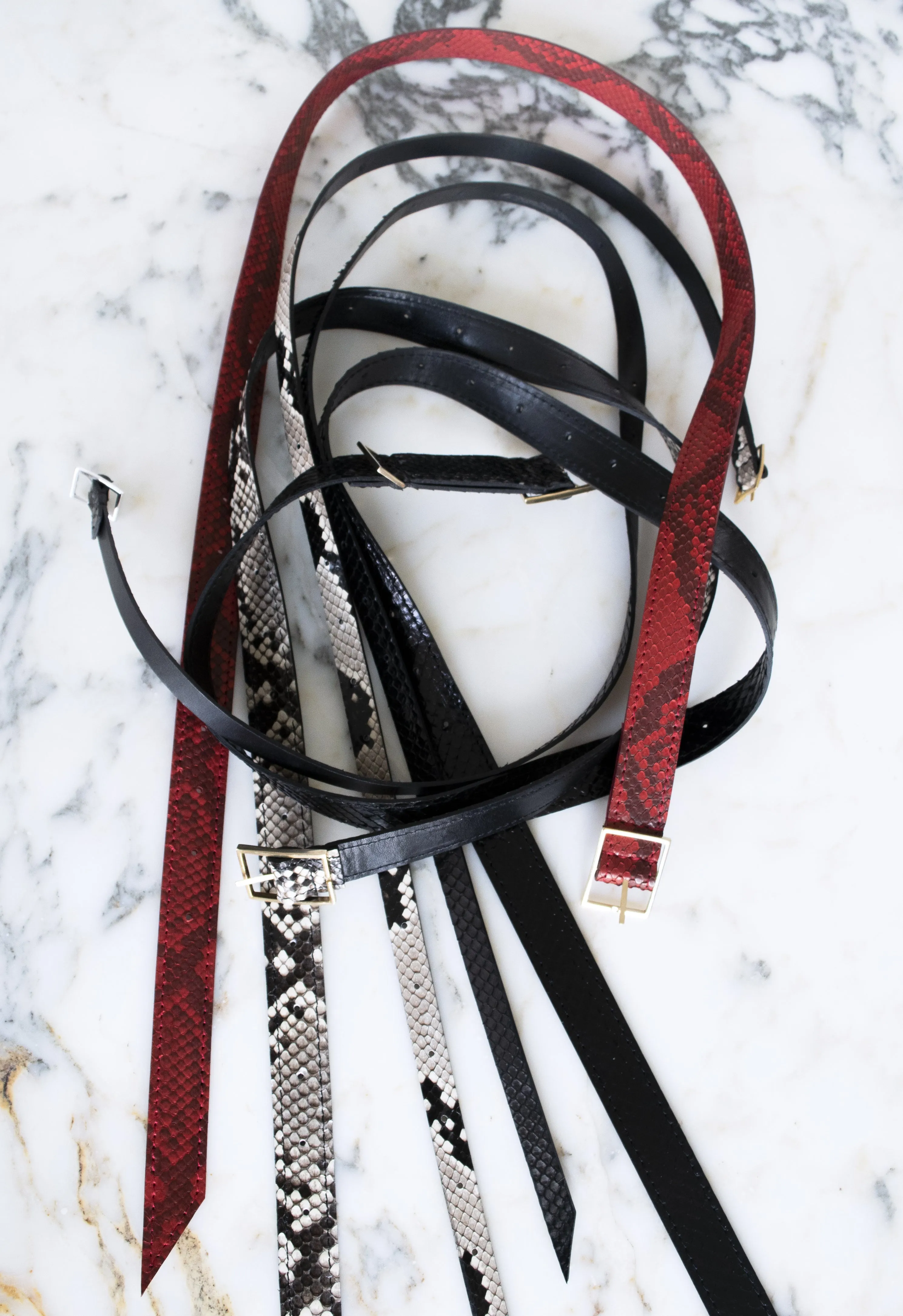 The Snake Belt