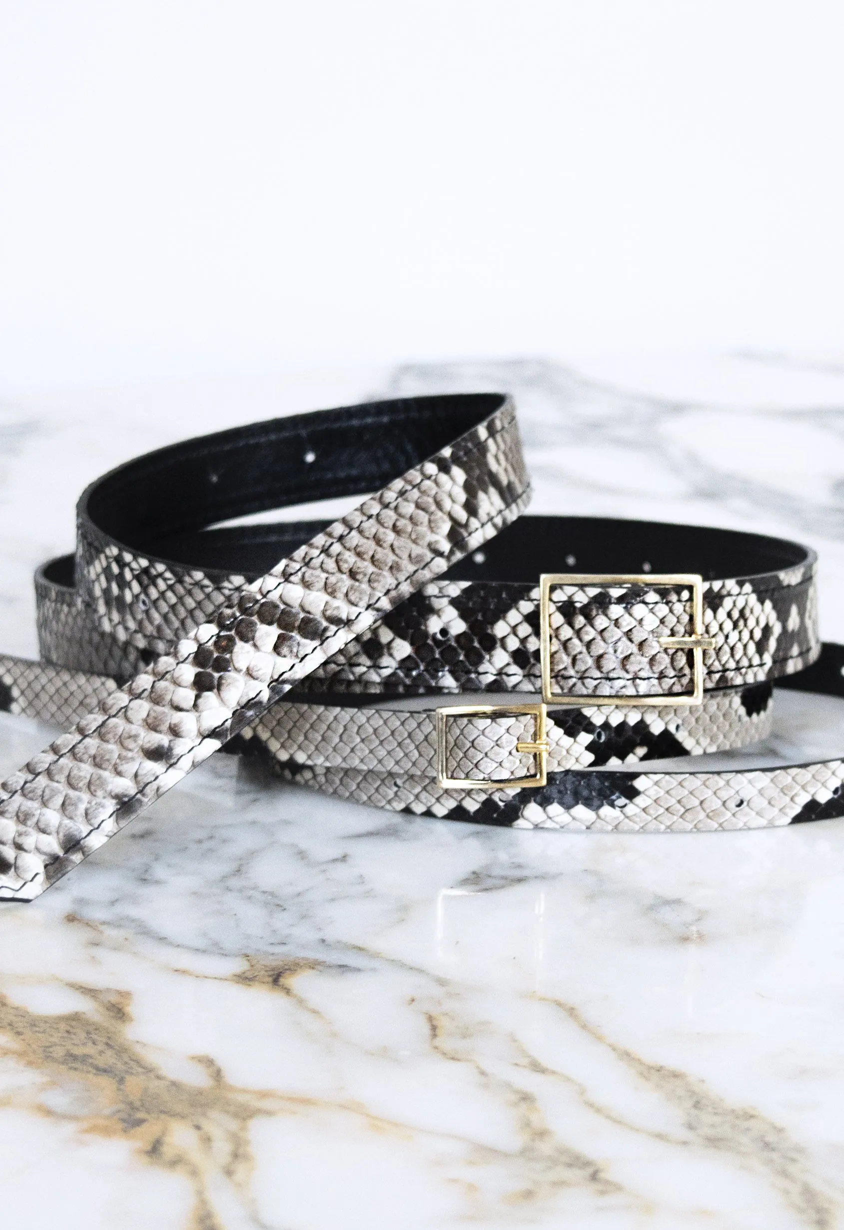 The Snake Belt