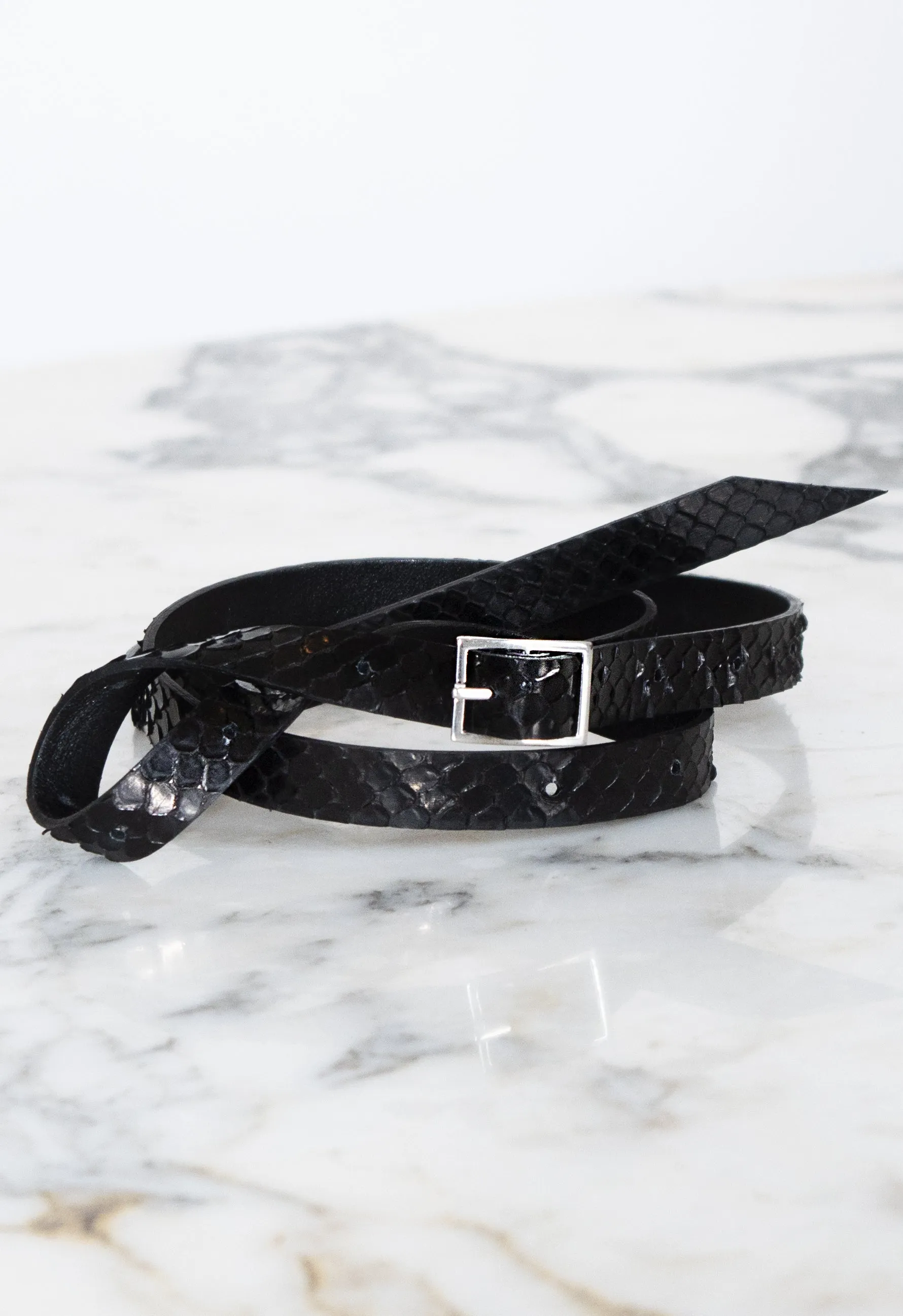 The Snake Belt
