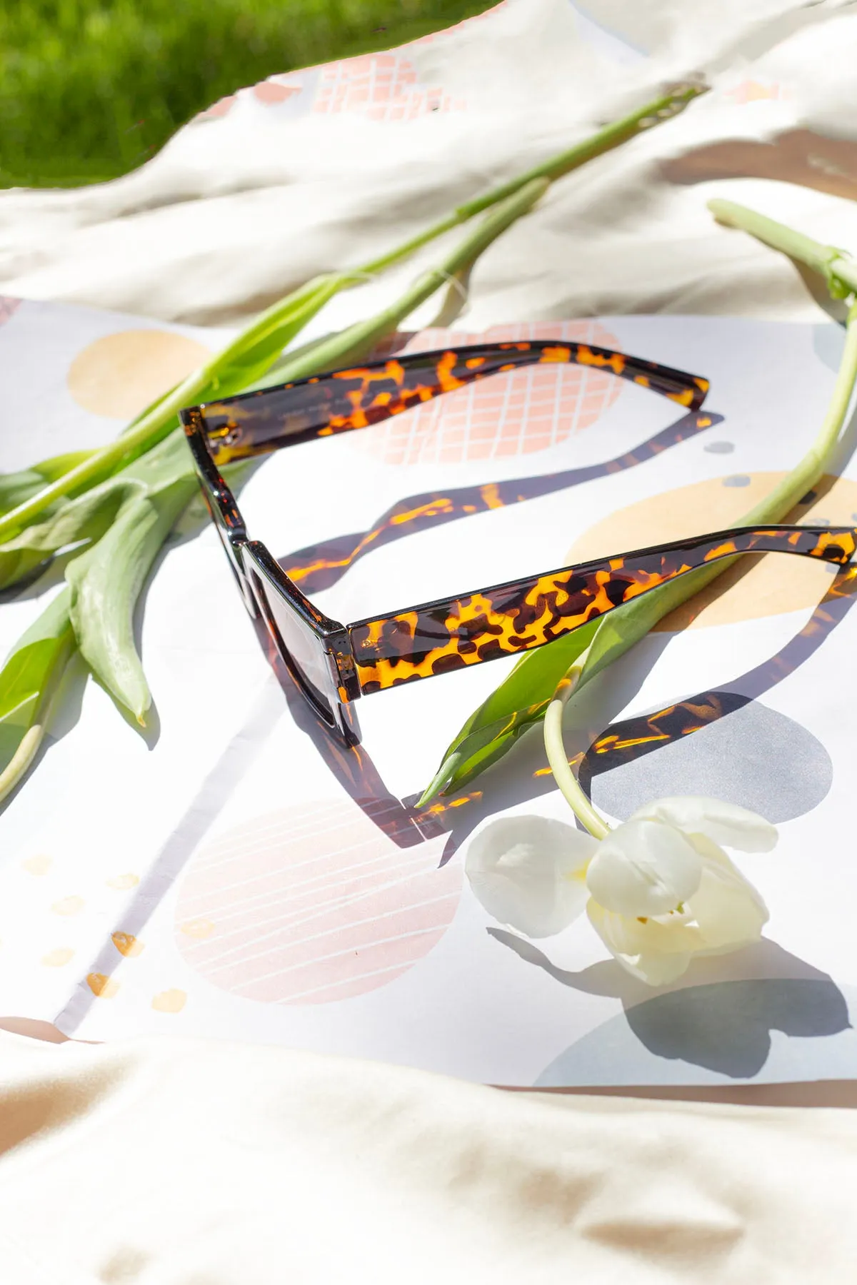 Thick Frame Mini Rectangle Sunglasses