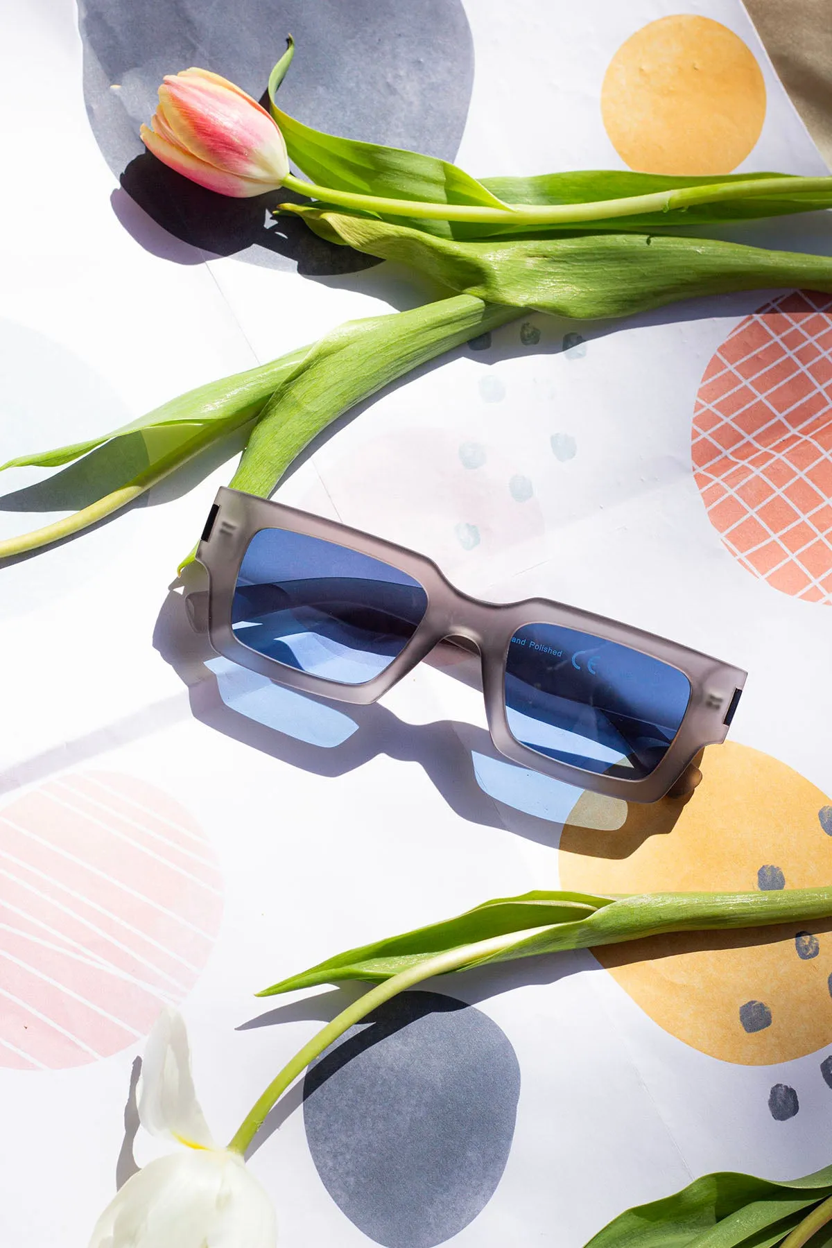 Thick Frame Mini Rectangle Sunglasses