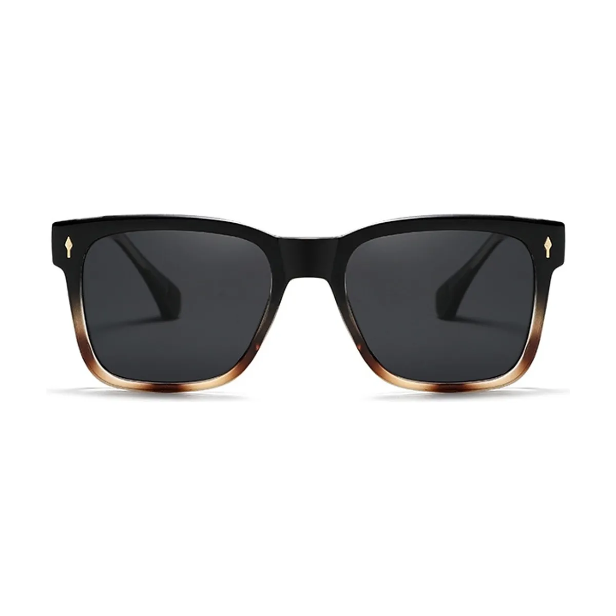 Tortuga Polarized
