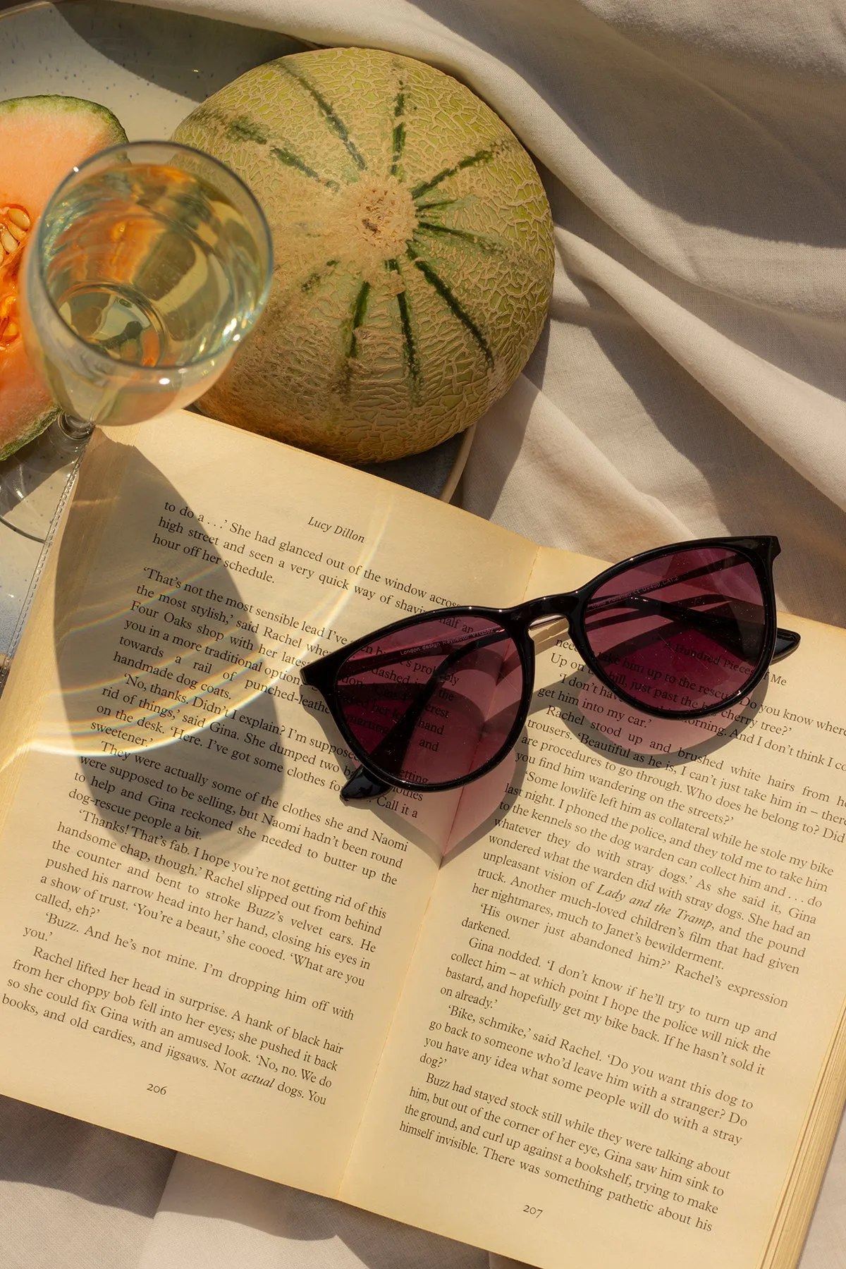 Traditional Style Sunglasses