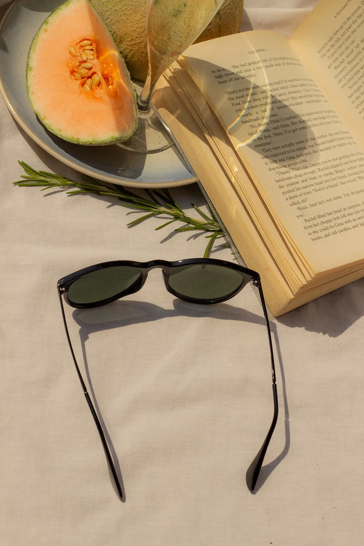 Traditional Style Sunglasses