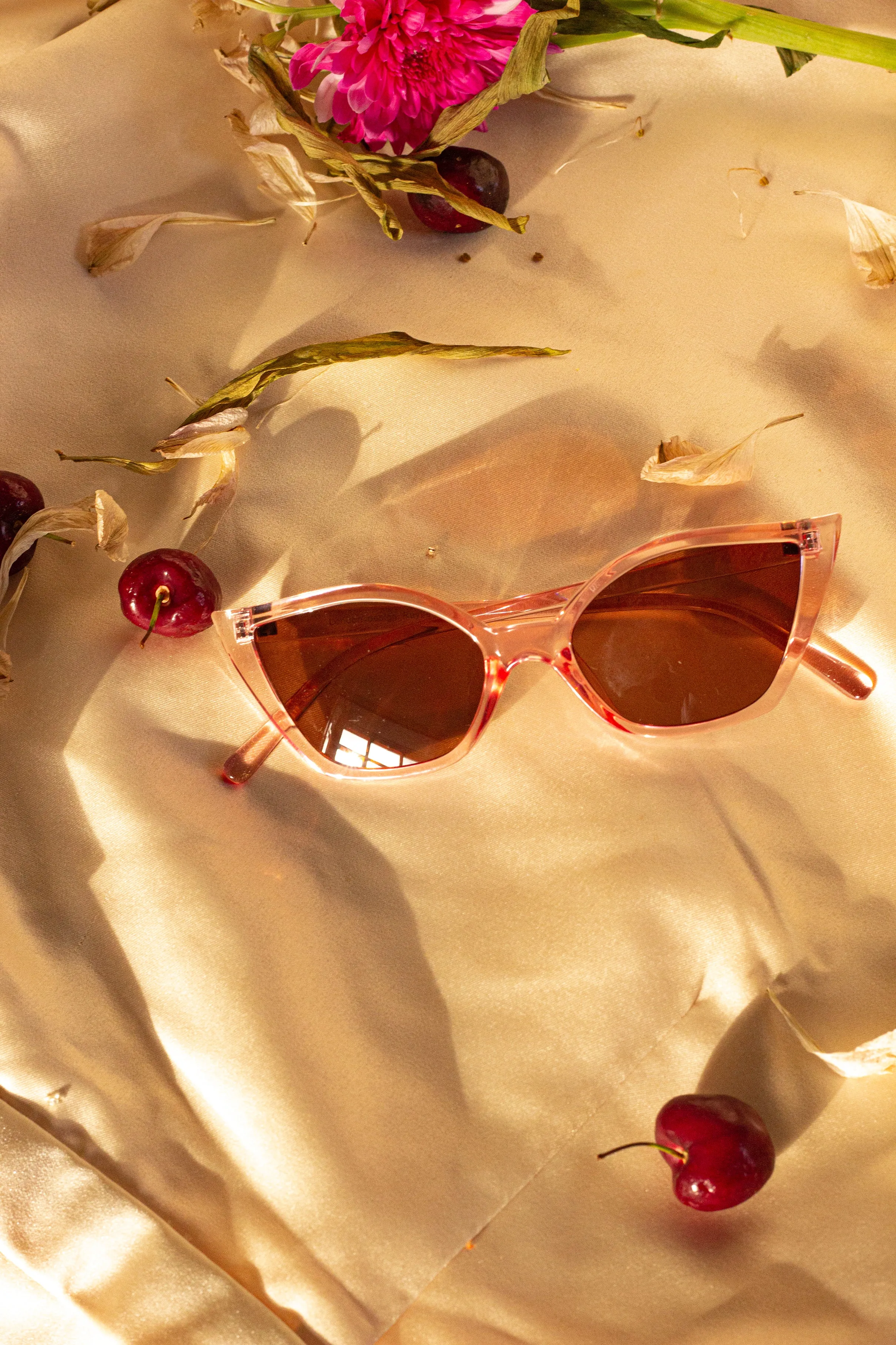 Transparent Cat Eye Sunglasses
