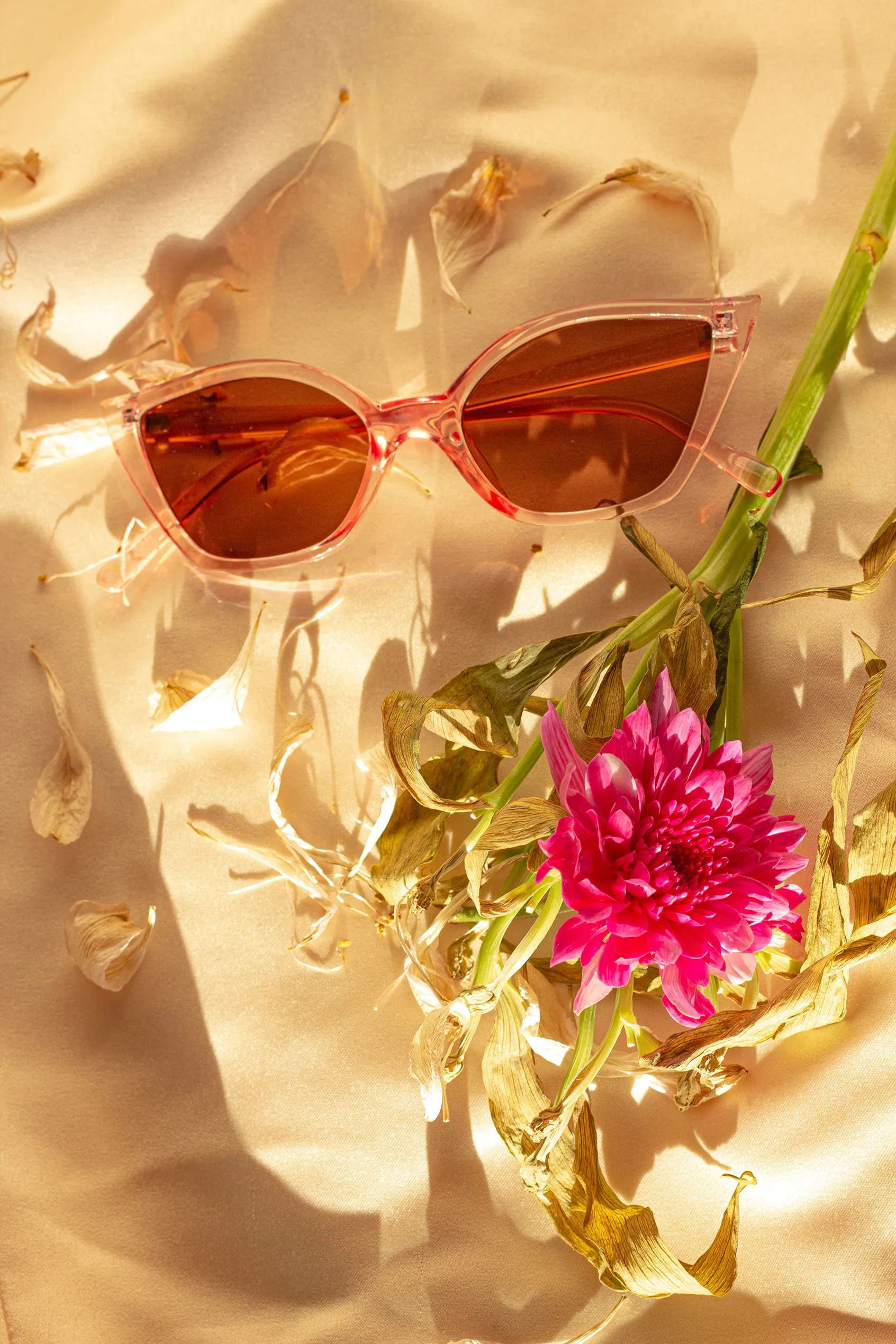 Transparent Cat Eye Sunglasses