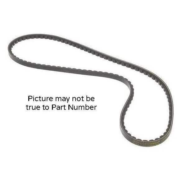 V Belt / Fan Belt - 11A0800