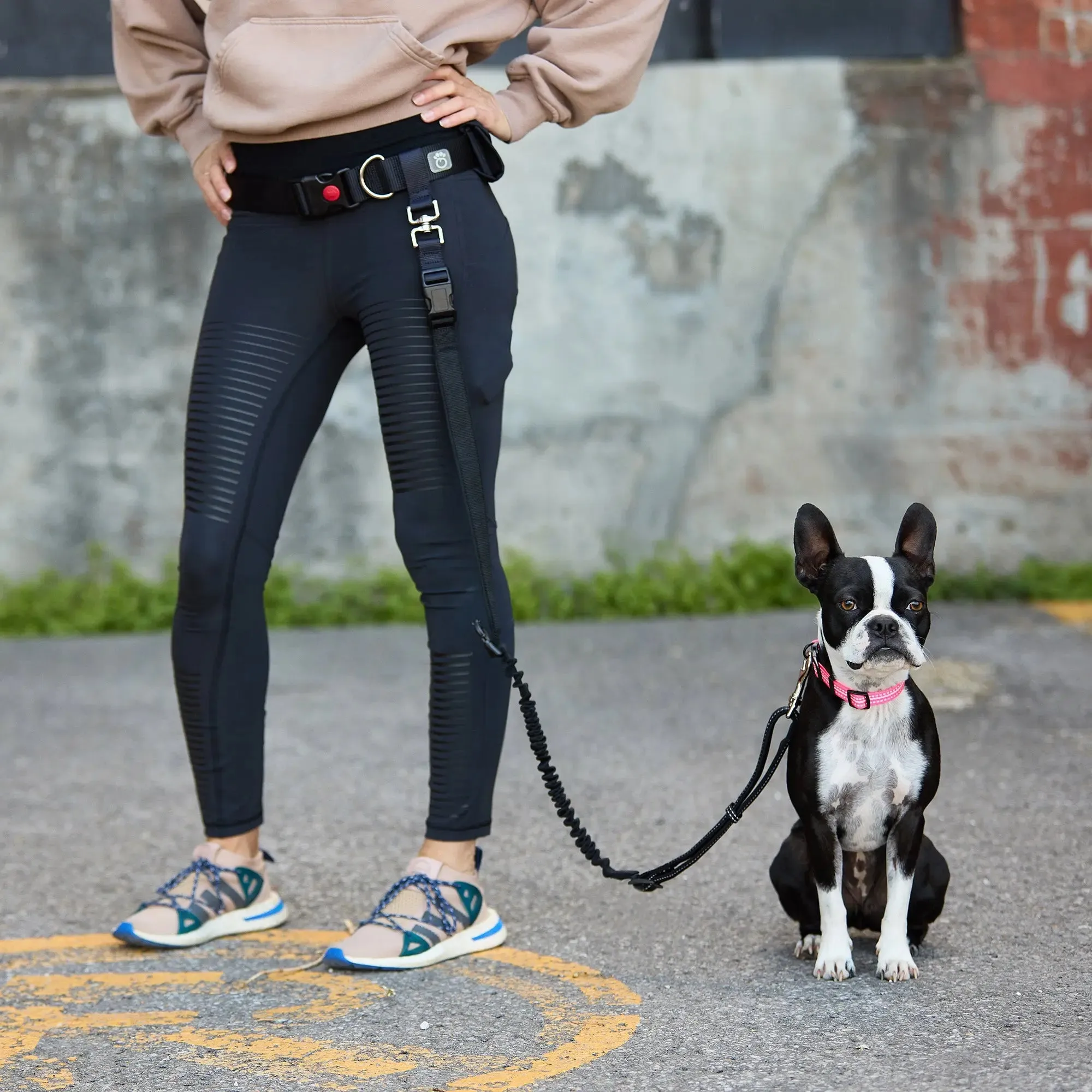 Waist Belt & Bungee Dog Leash