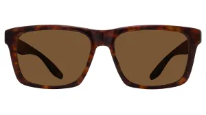 WALKER-Chestnut / Sequoia Polarized